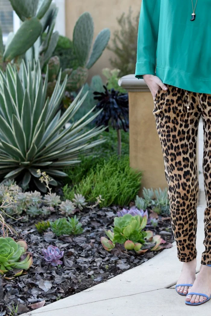 zara-cheetah-print-pants.jpg