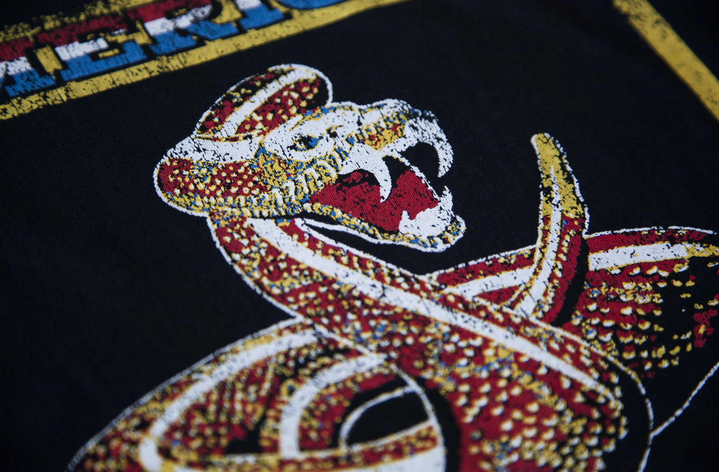 SnakeDetail.jpg