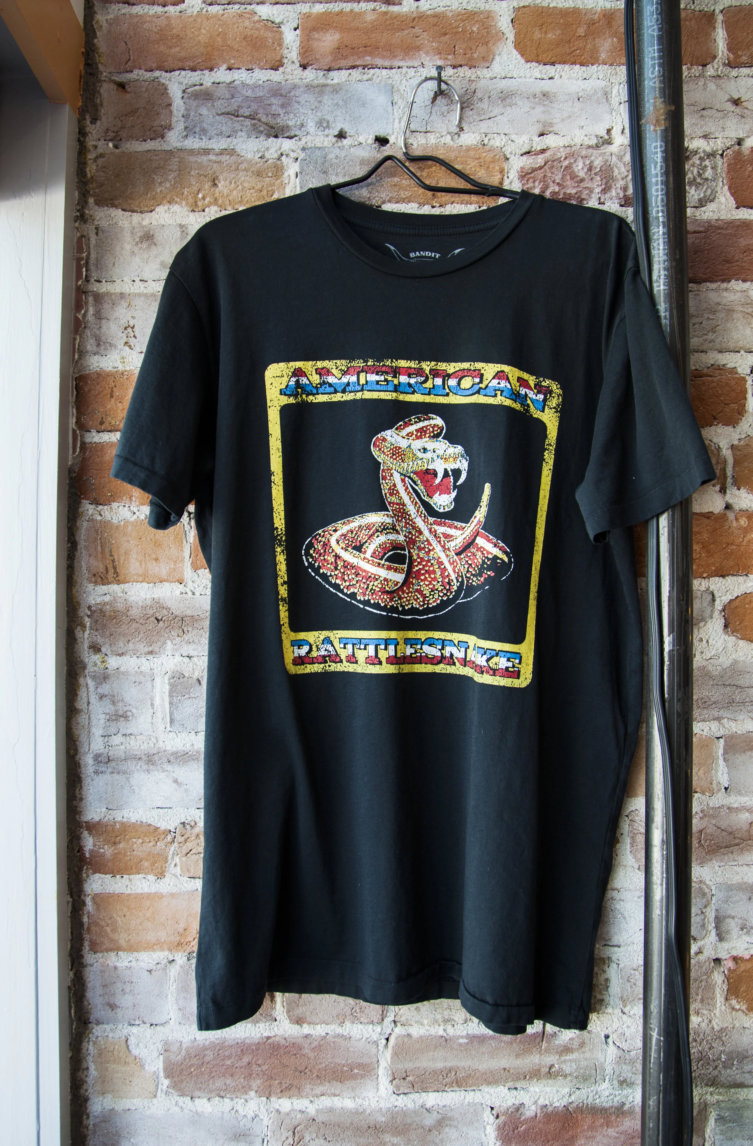 AmericanRatttlesnake_Hanging.jpg