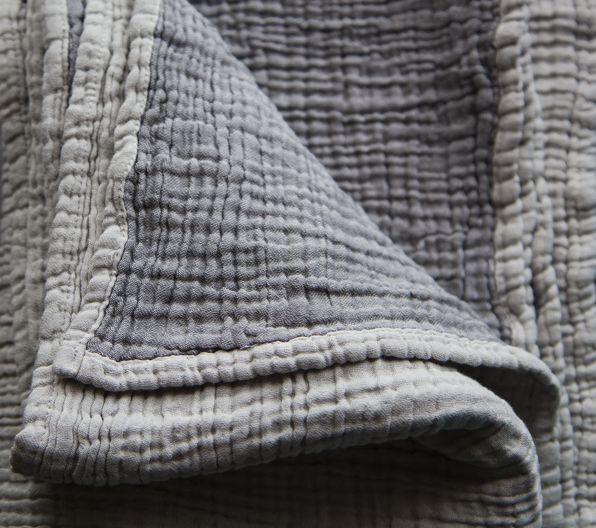GrayInsideBlanket.jpg