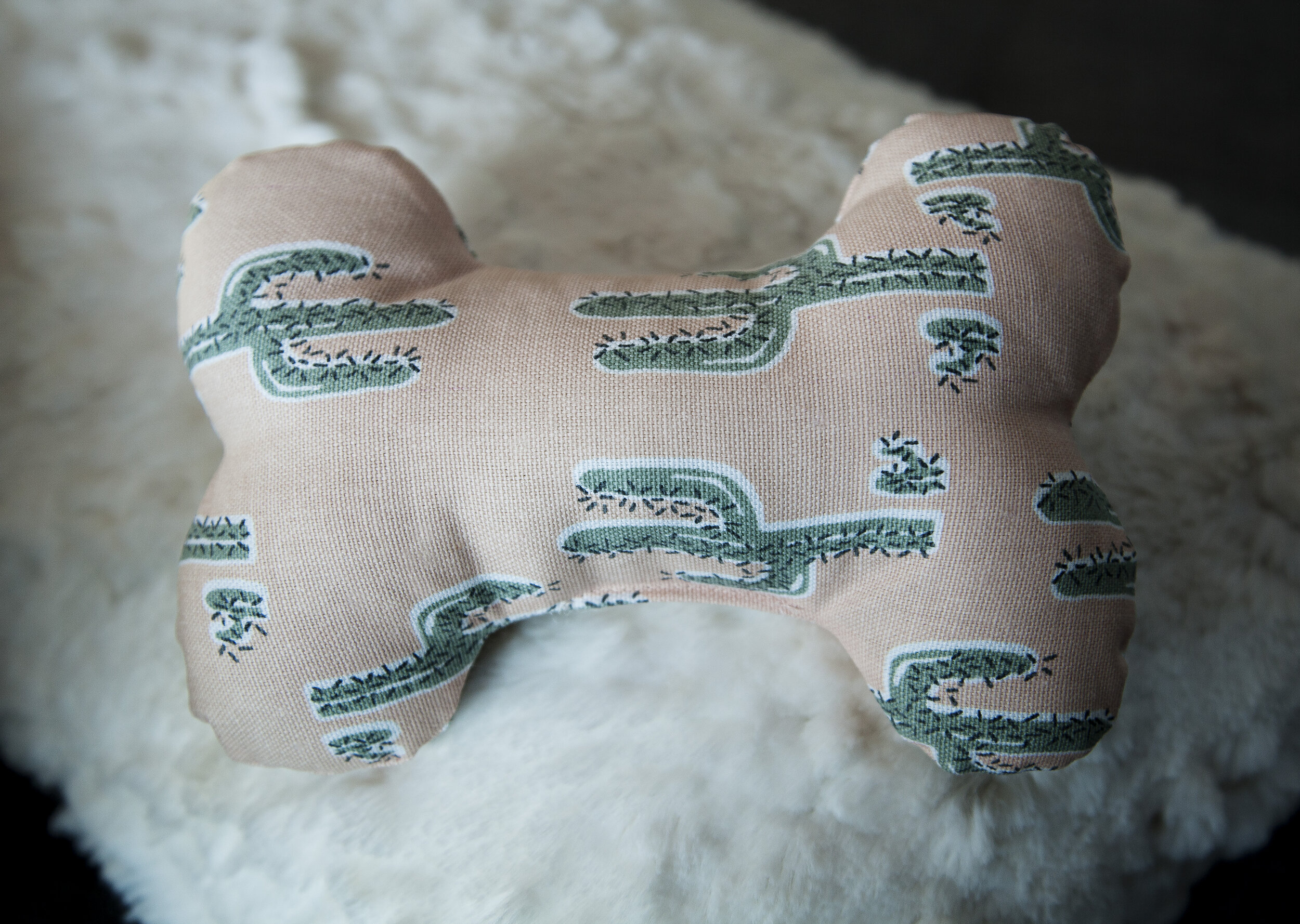 CactusDogTOy_2.jpg