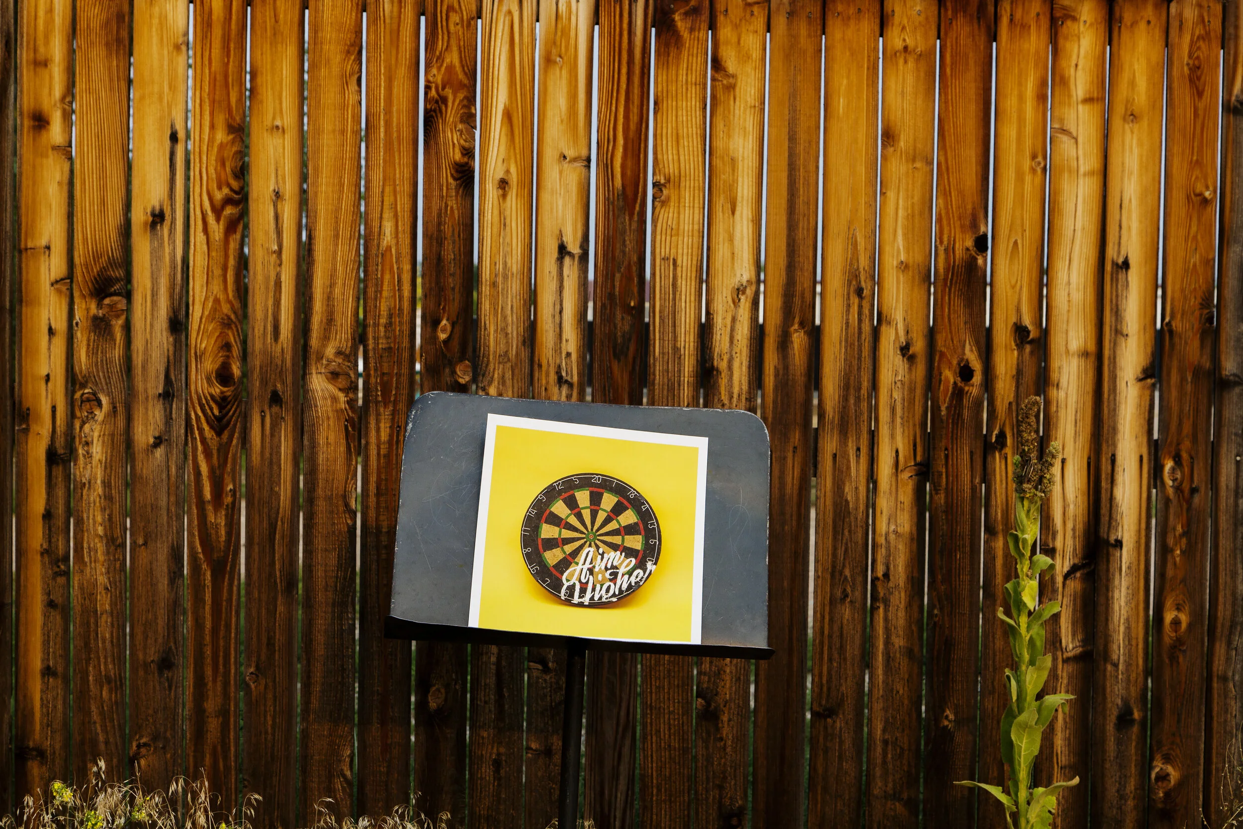 Fence+Dartboard.jpg
