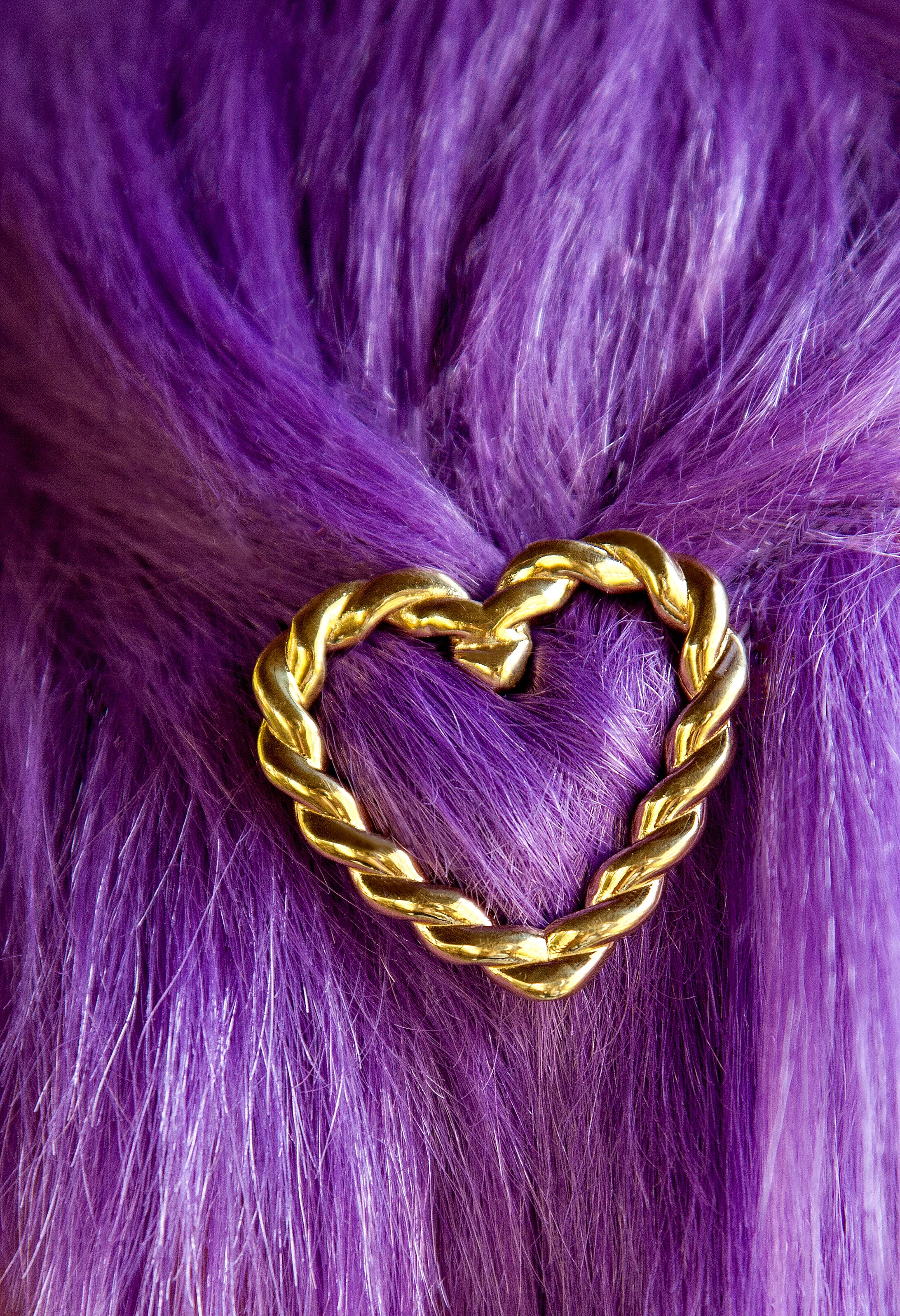 HeartDetail.jpg