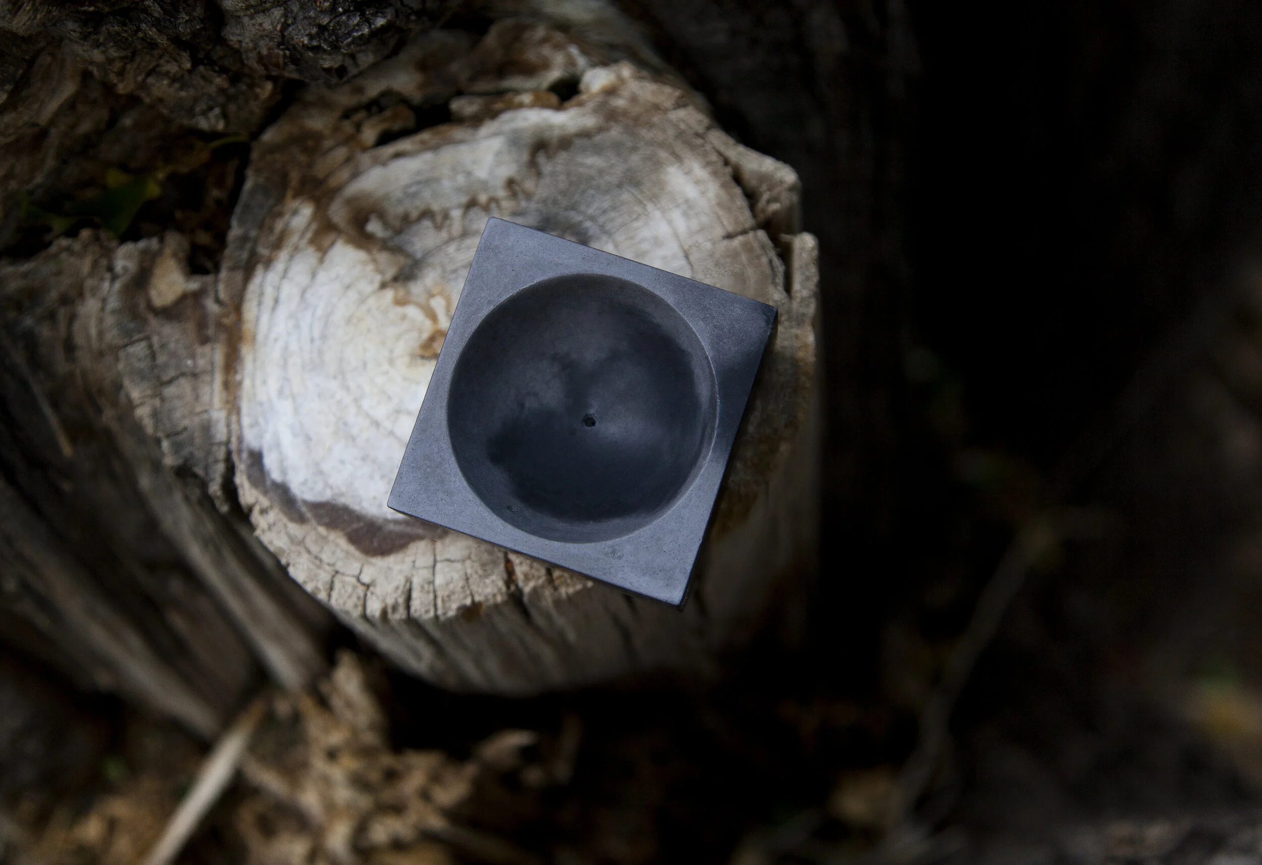 BirdseyeBlackIncense.jpg