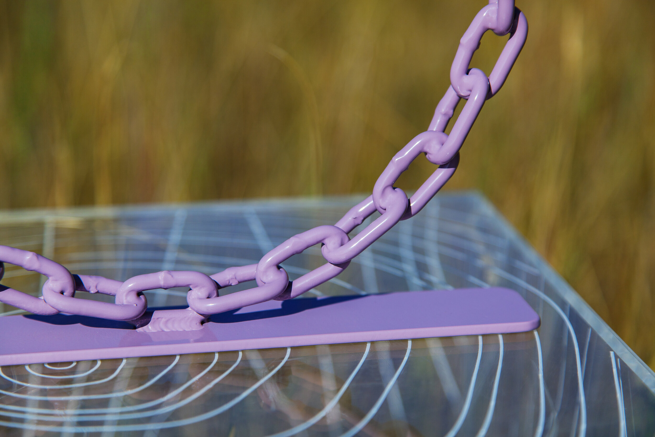 Lilac_2.jpg