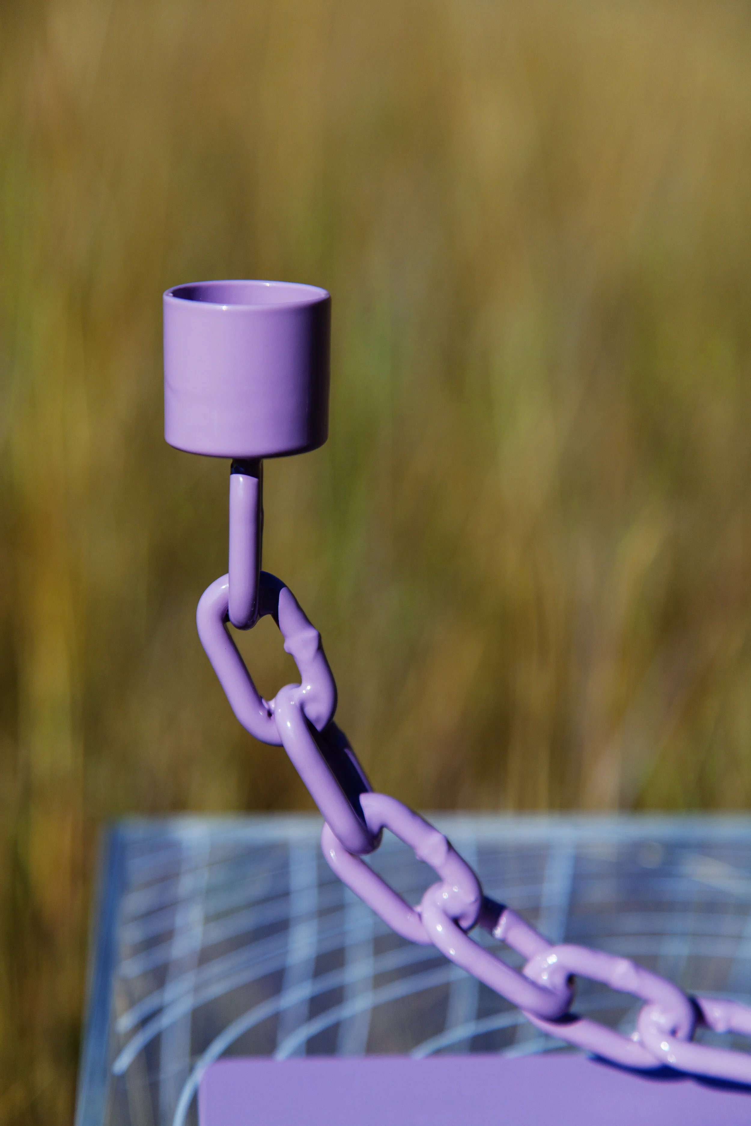 Lilac_3.jpg