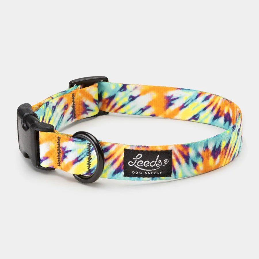 ashbury_collar_m_l.jpg