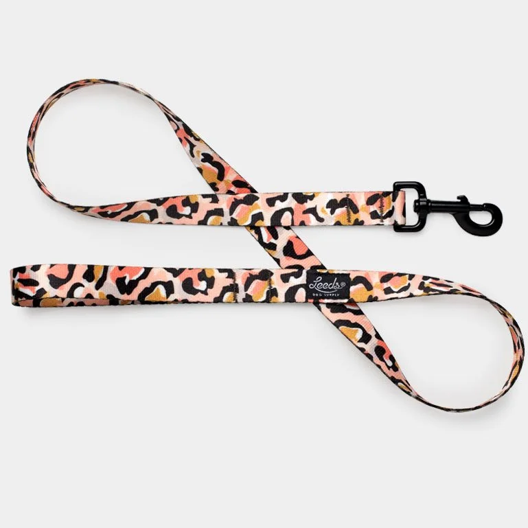 coco_leash.jpg
