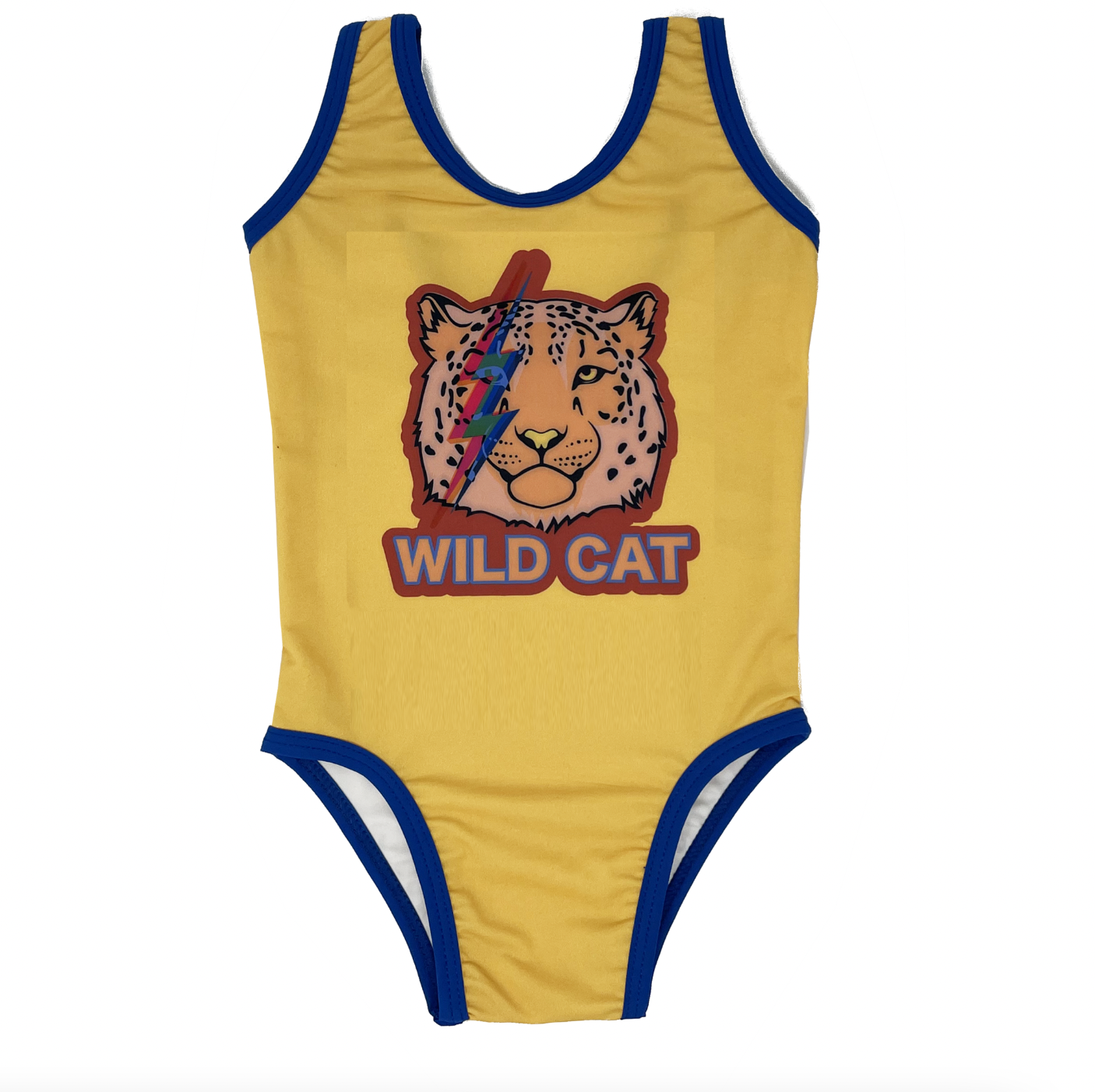WMSWIM22-CAT.png