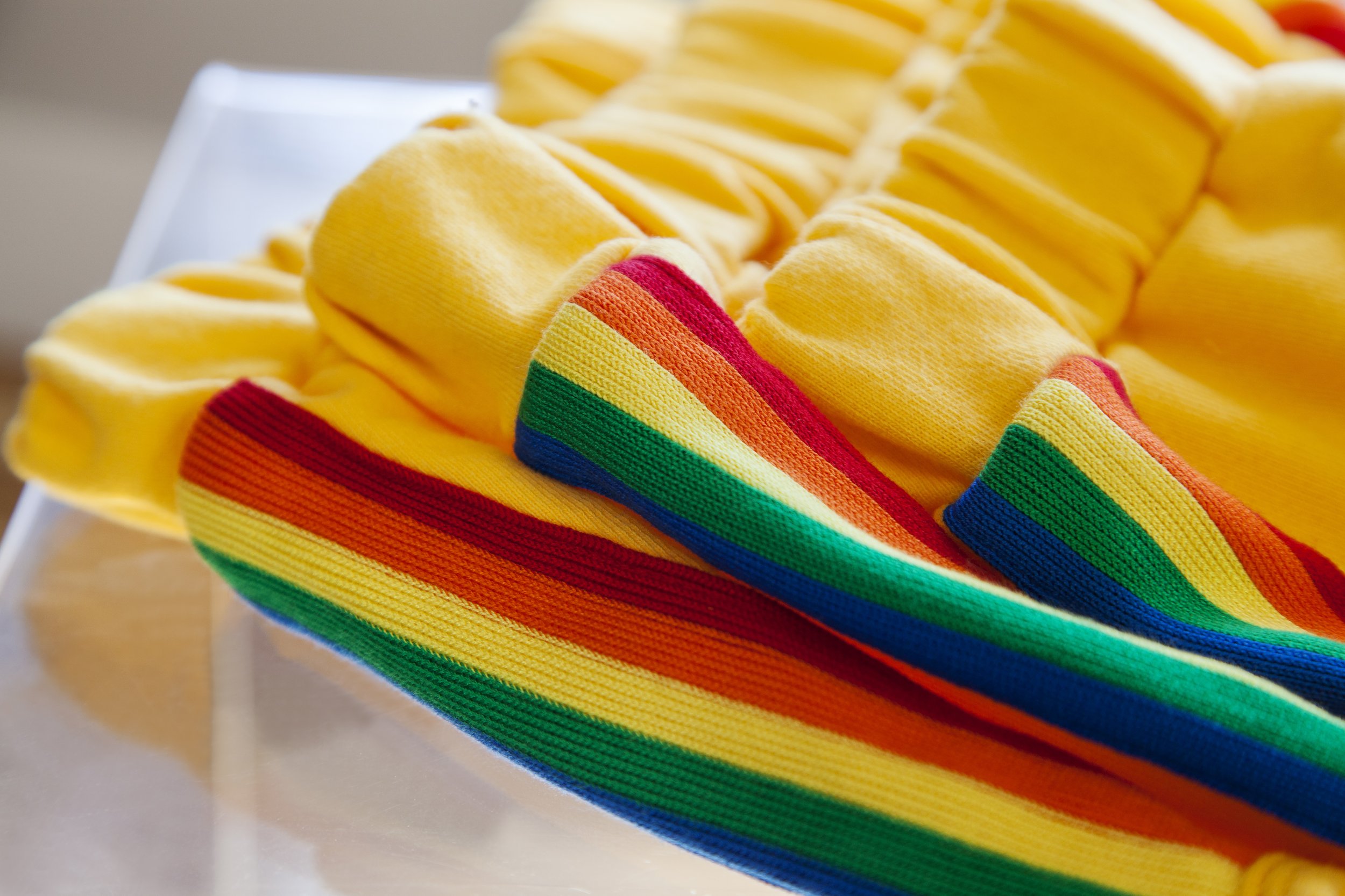 YellosSHorts_2.jpg