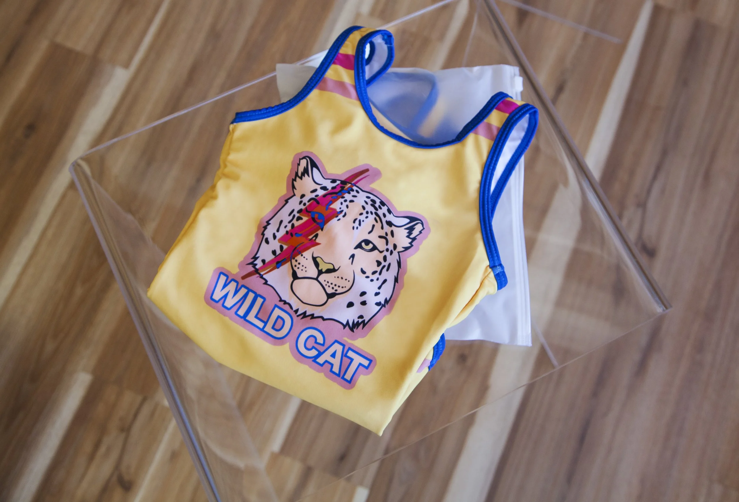BathingSUit.jpg