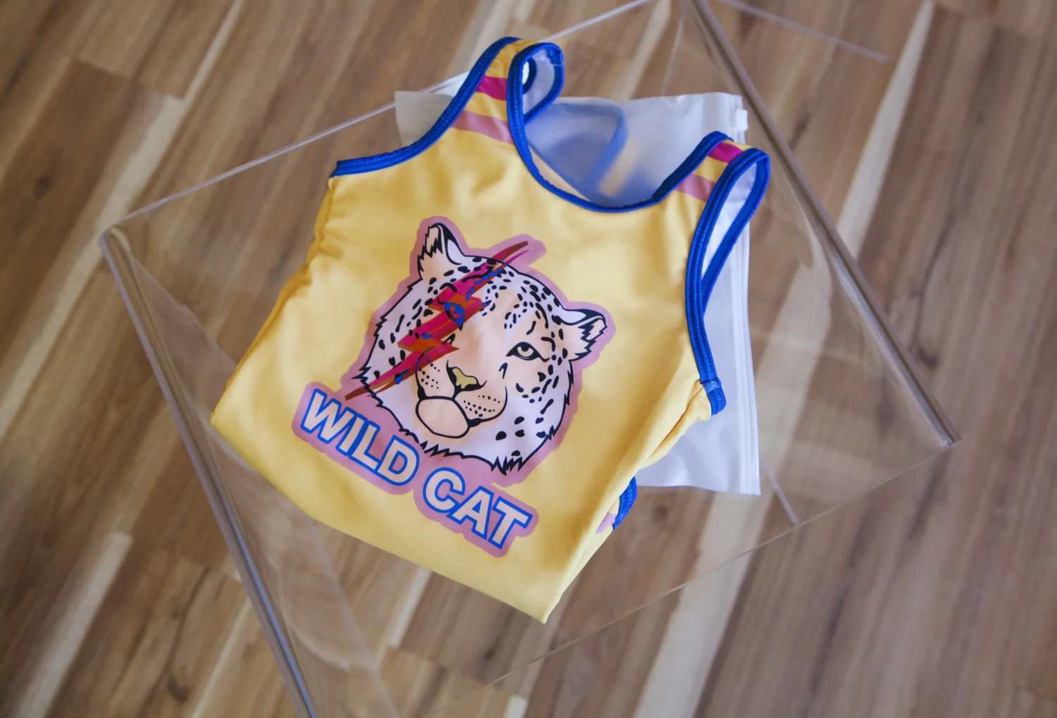 BathingSUit.jpg