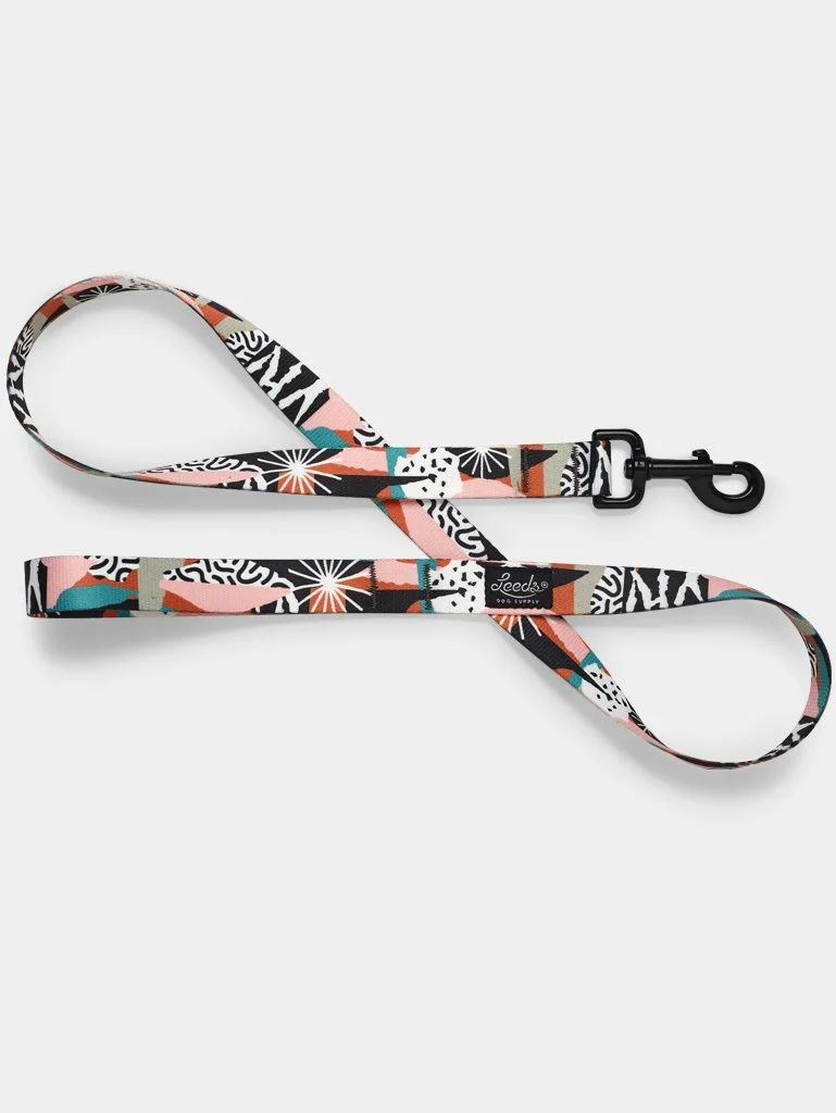 lynx_leash.jpg