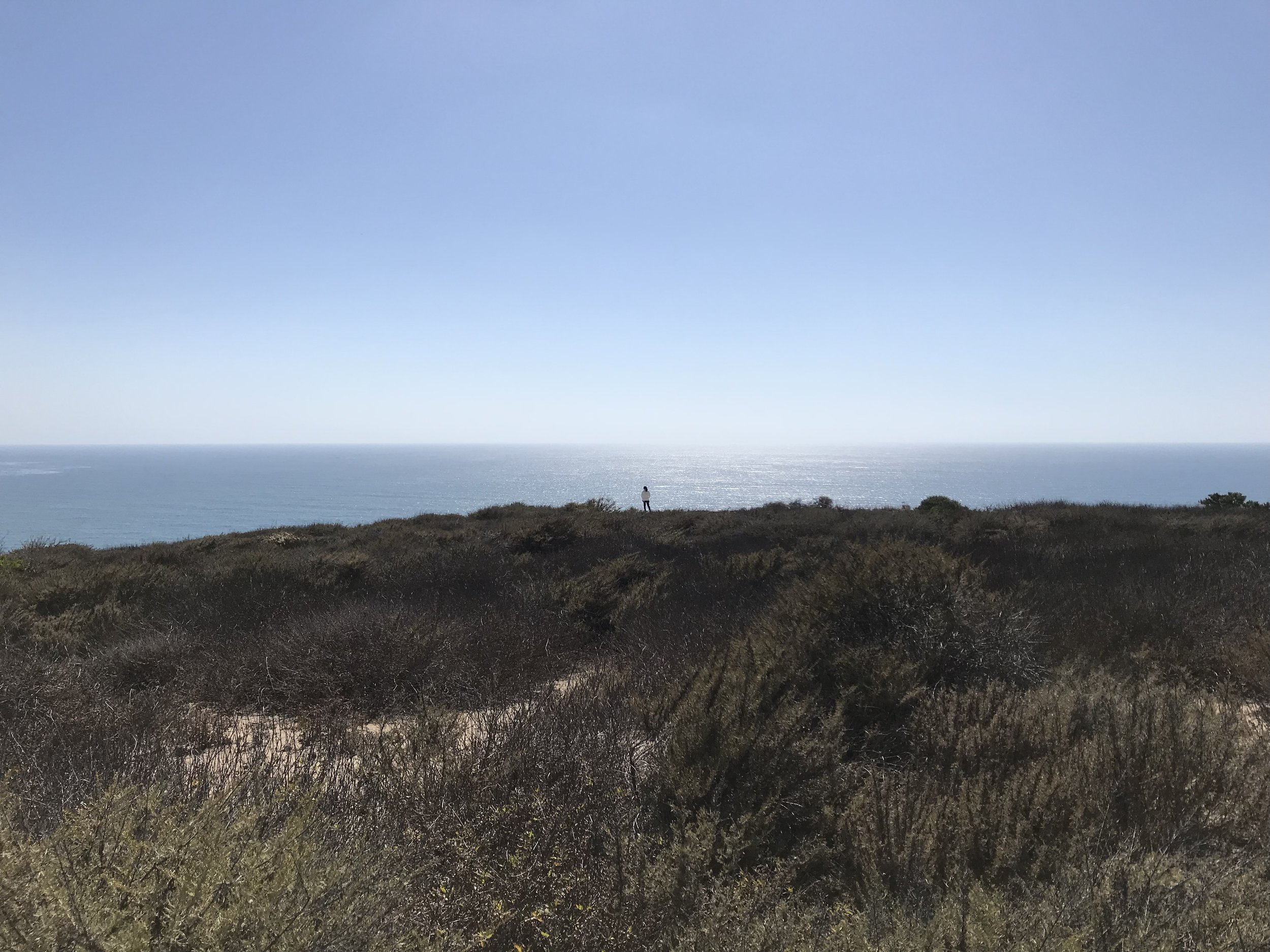 1F54F396-B21E-49F9-B8FB-343AB3FE8AF2.jpeg