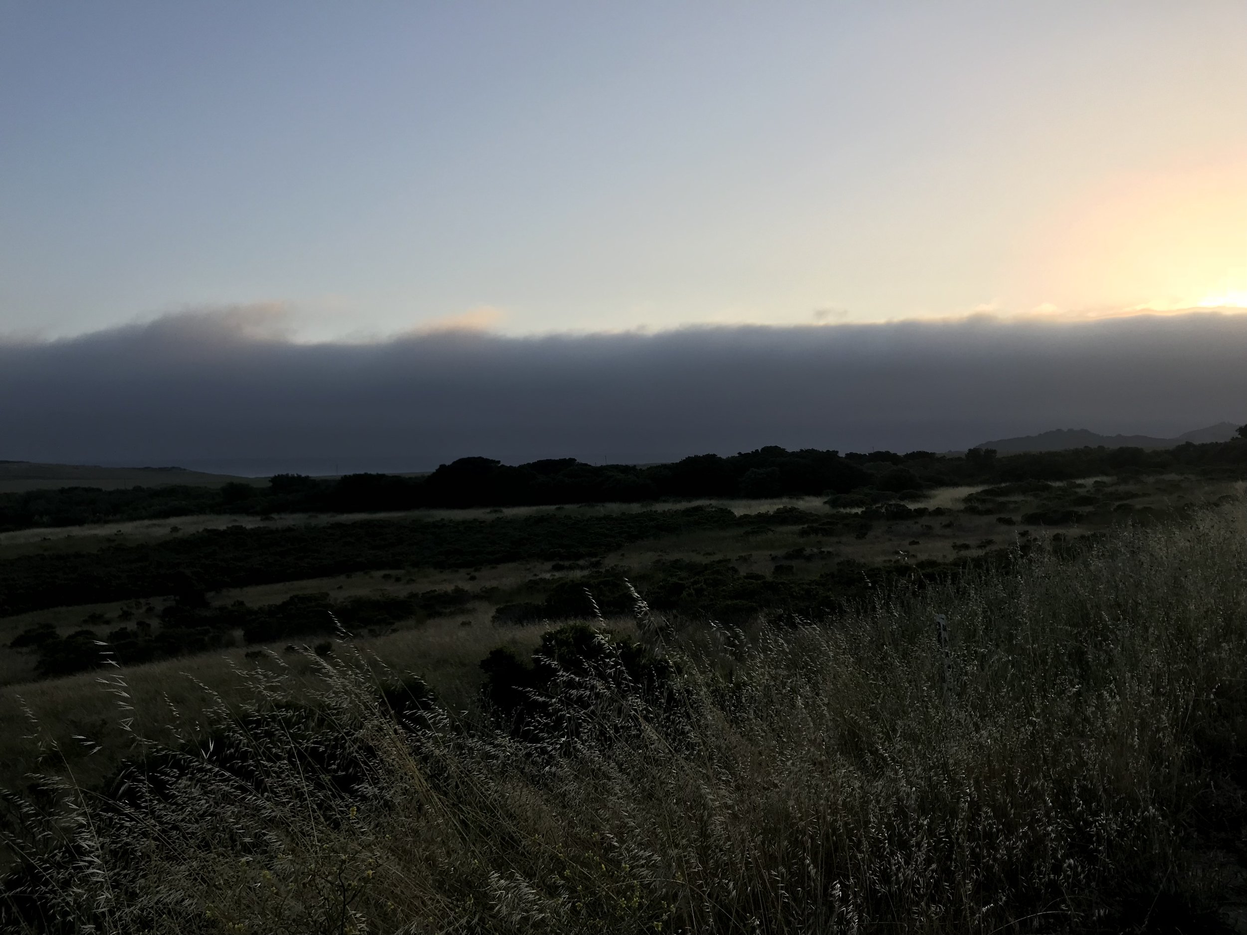 7422E772-55A0-494F-B0F2-4F8328BAB78C.jpeg