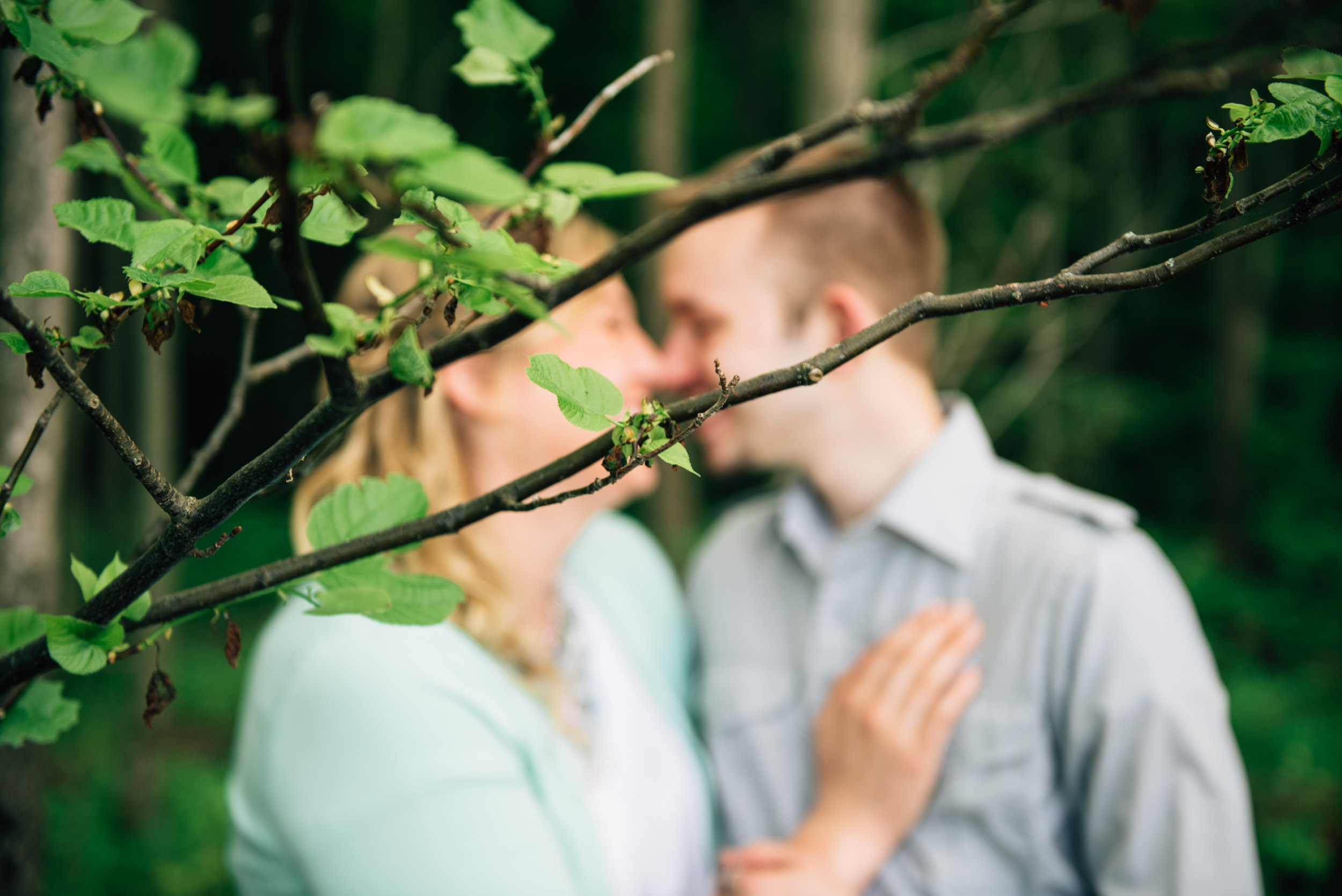 Kiss behind the branches