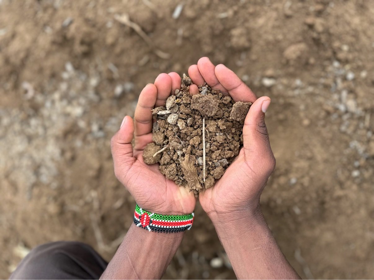 Hundreds of children. One woman’s vision. A farm to help fulfill it.