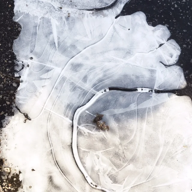 Ice, sun, the parking lot.