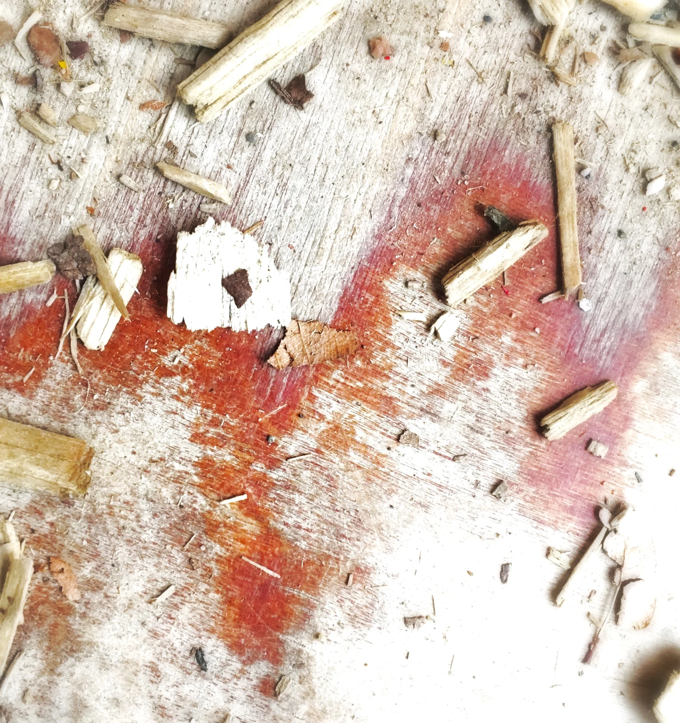 lithomancy, - or, well, bark-mancy. the central oracle, the paint chip.