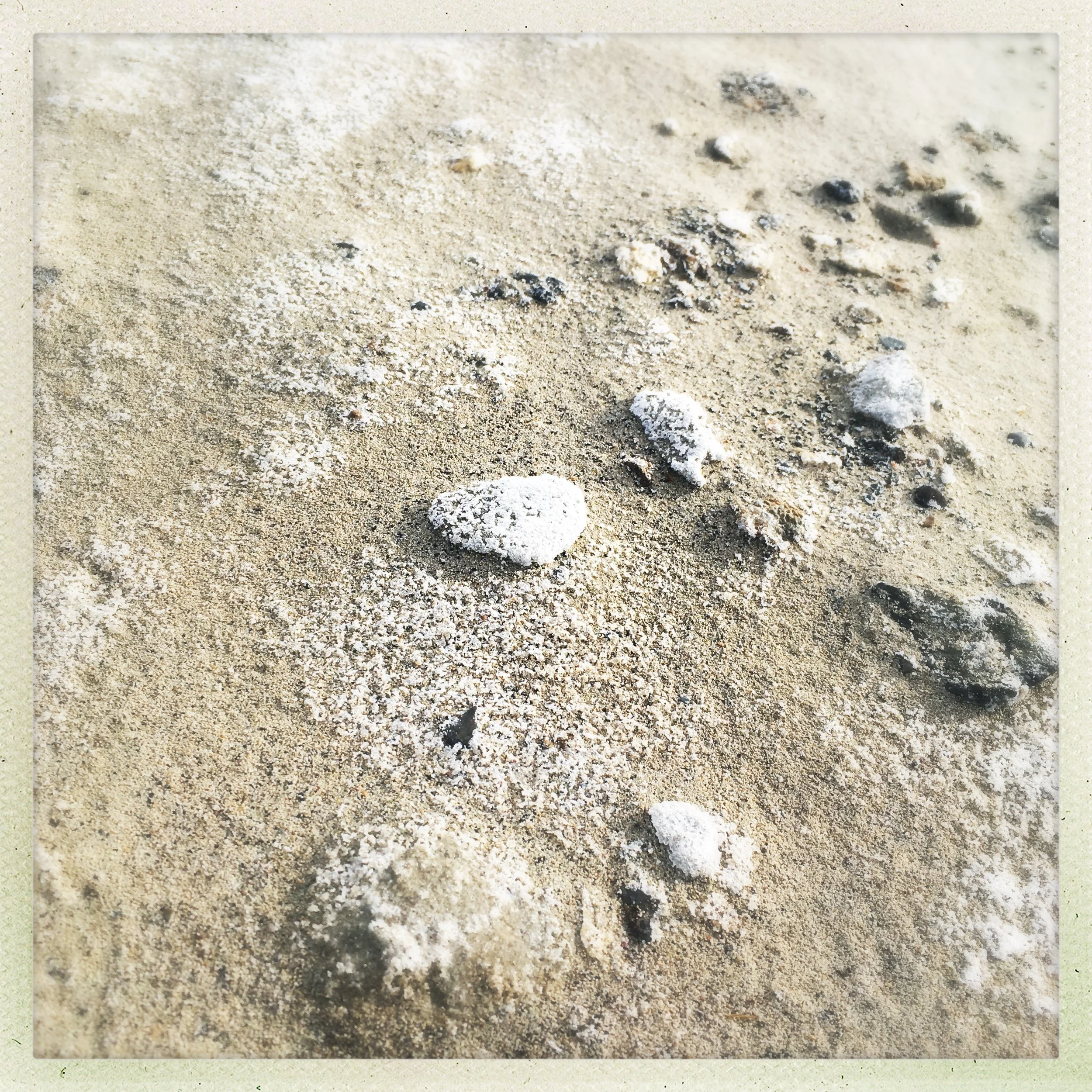 and salt abounds. it rests a a crust over anything near the water that remains still...