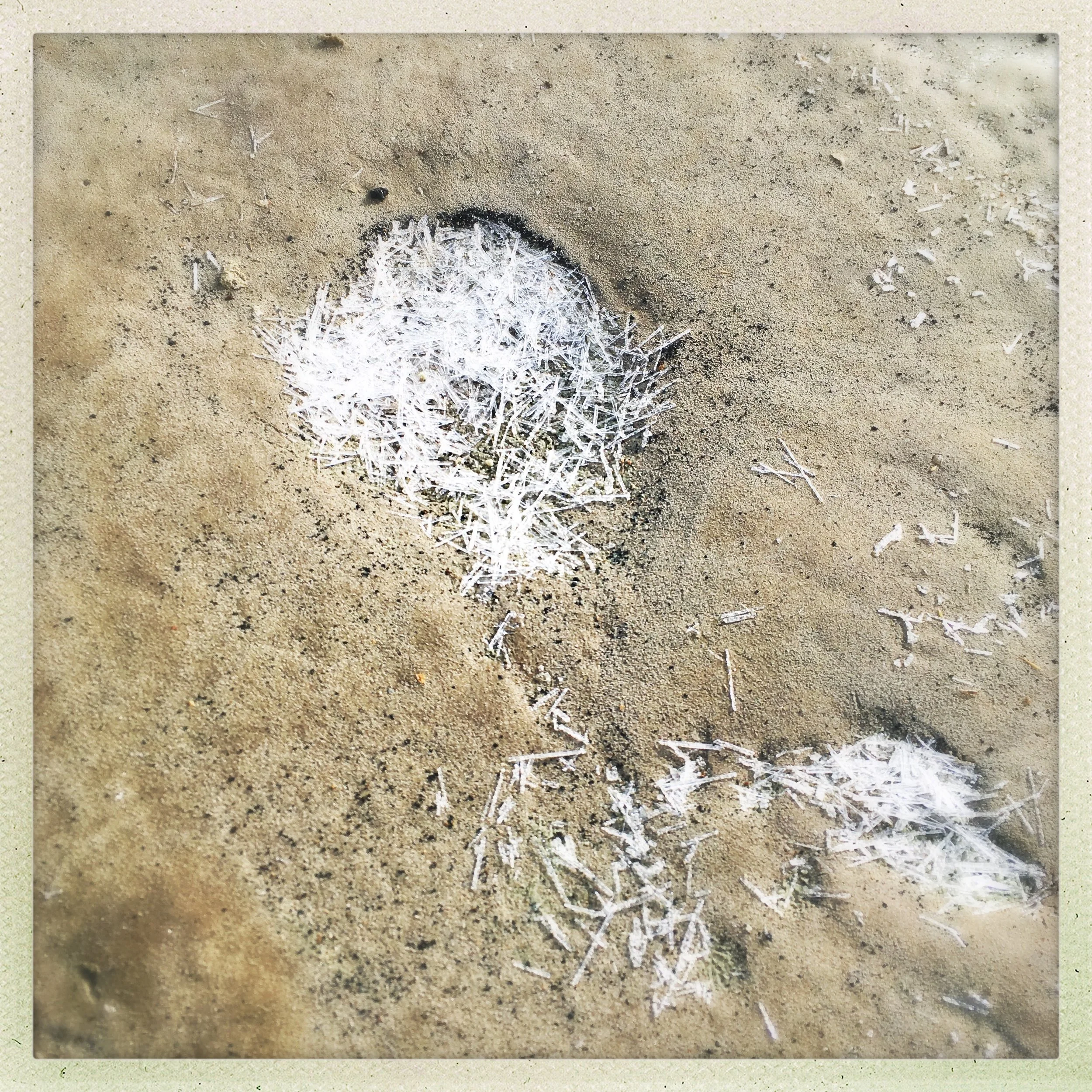 ...perpetual ice in the desert. (though in fact these are ice crystals, as sometimes in the very cold months, salt and ice reveal their differences only when touched. melting coolness. or burning.