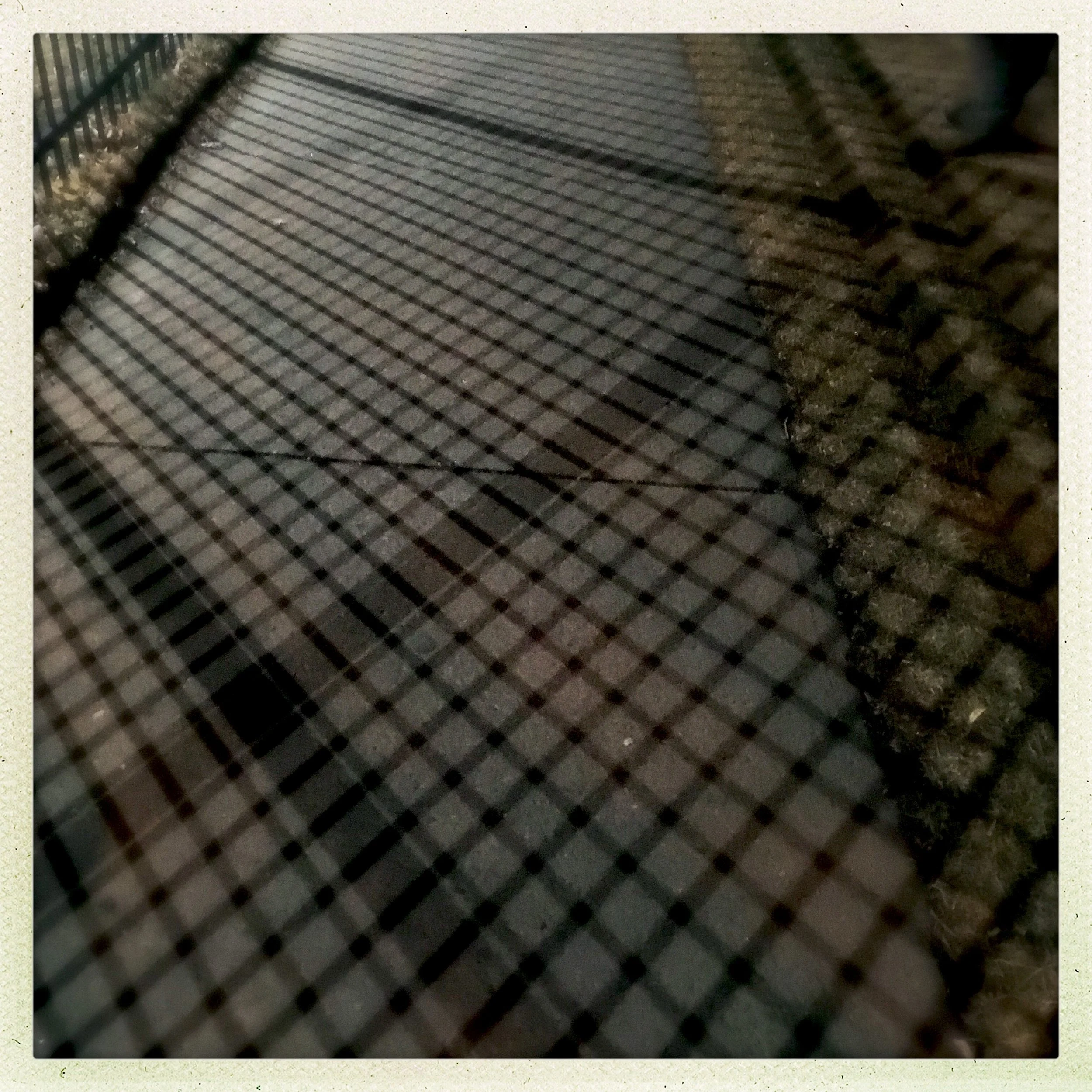 a plaidly sliced up sidewalk, Lawrence street.