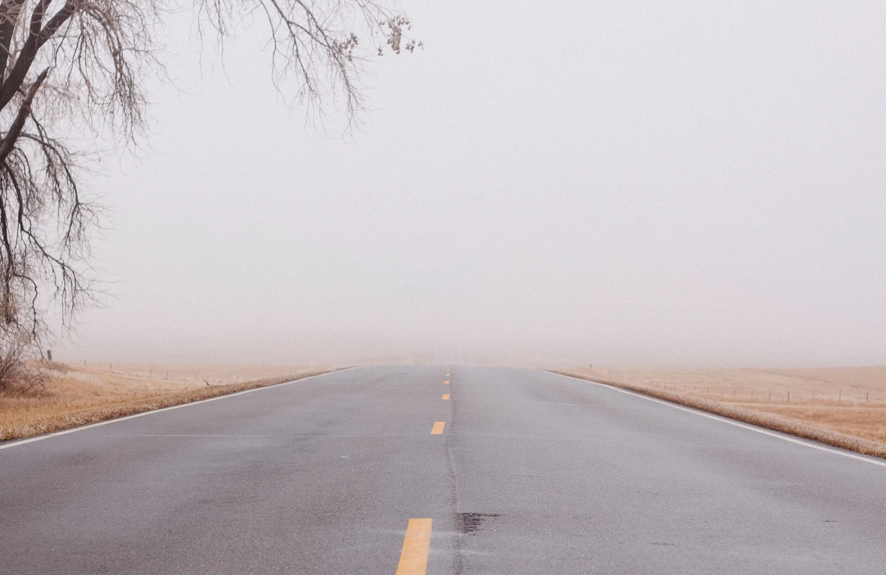 fog_road_web.jpg