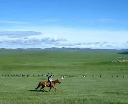 Today is “Don’t Use Industry and Insider Jargon” Day.