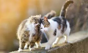 Finally...finally we have definitive proof that classical music is boring.