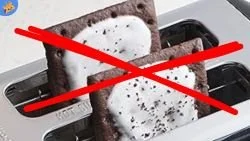 Didn’t Anyone Teach You to Never Interrupt?