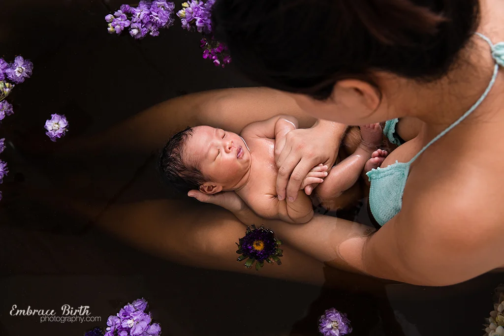 Iris_HB_web10.jpg