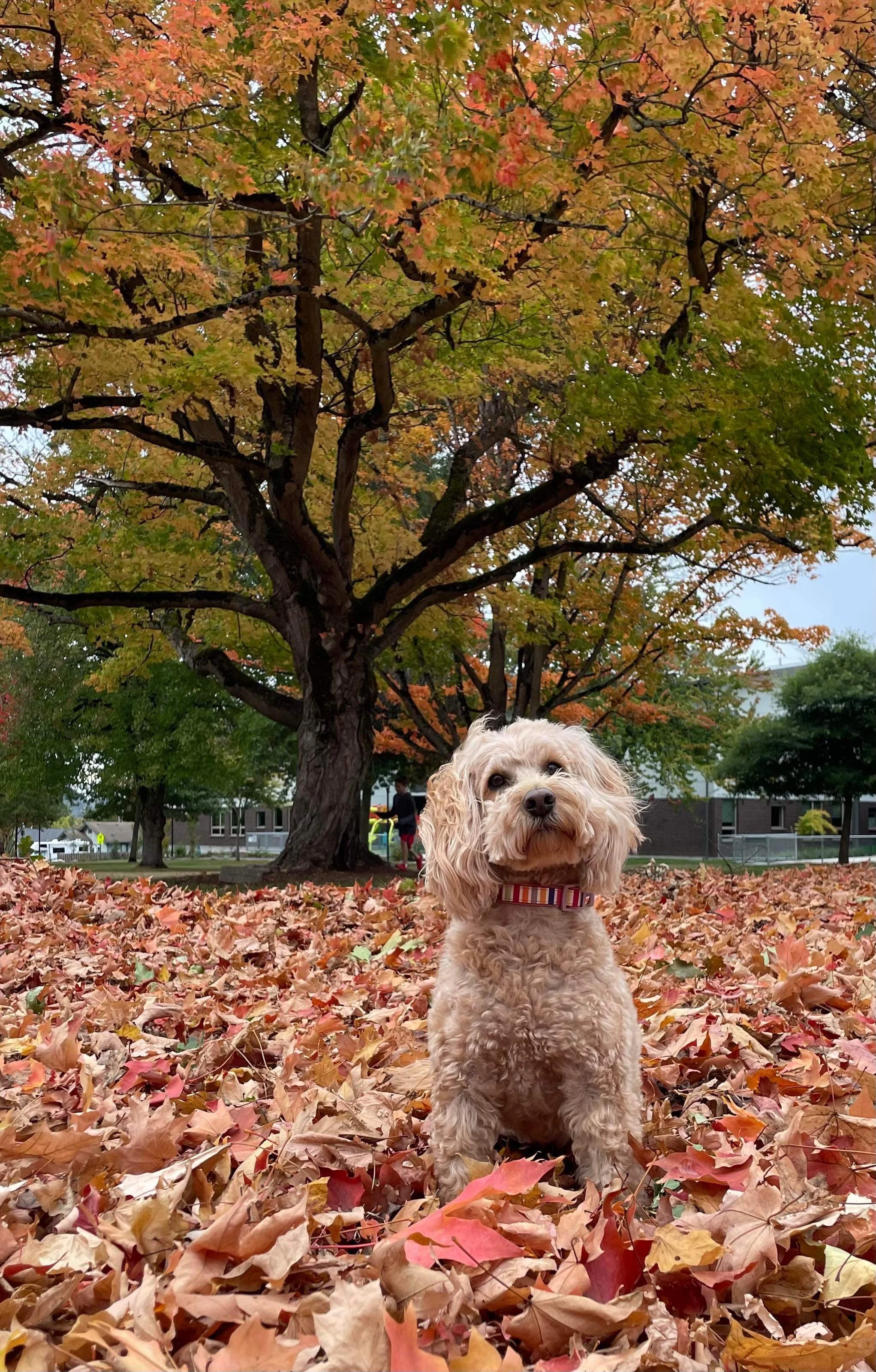 Fall Photo Contest Deadline