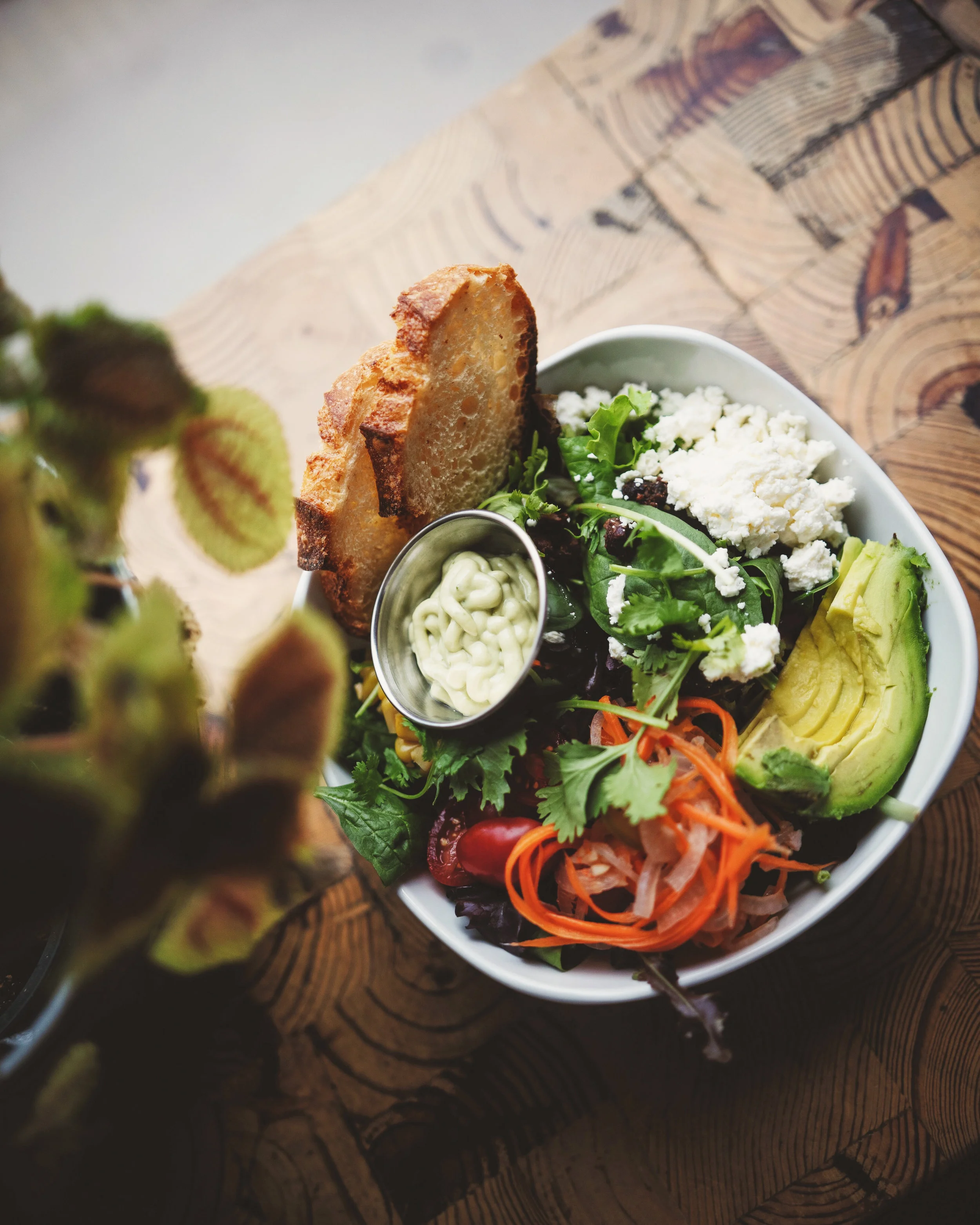 Salad.jpg