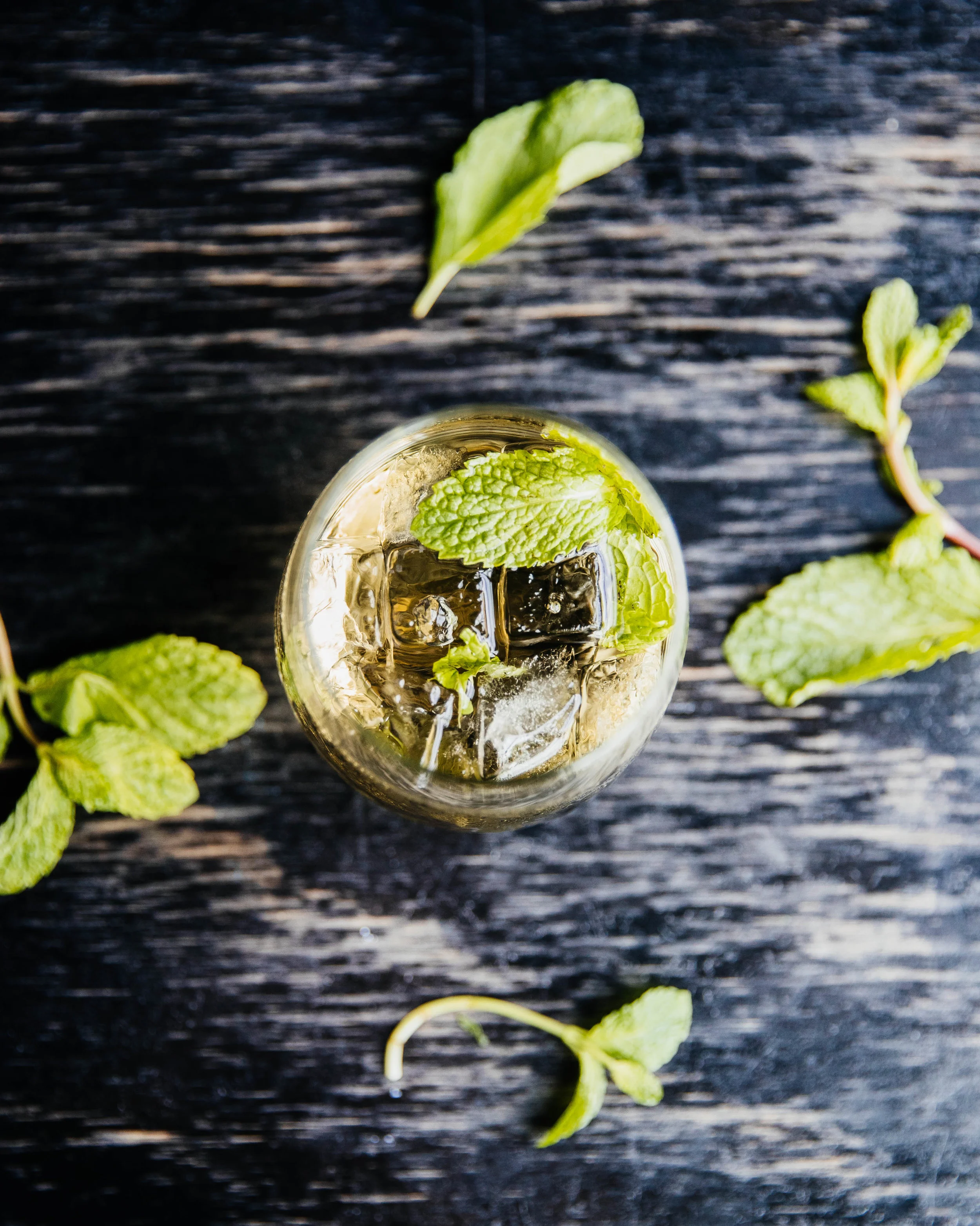 Cocktails-13.jpg