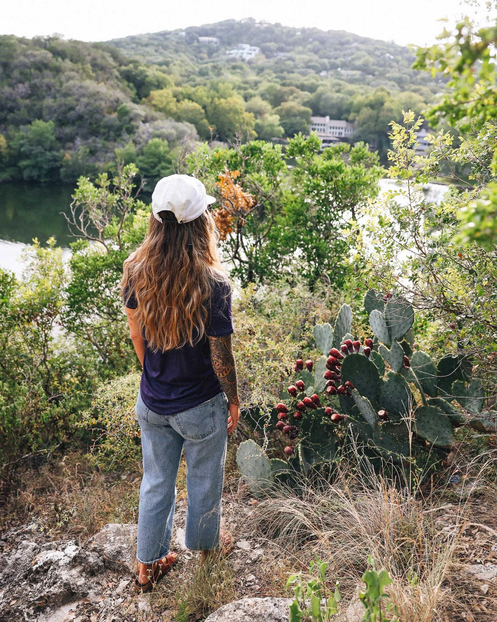 Whole Earth Provision Co.2.jpg