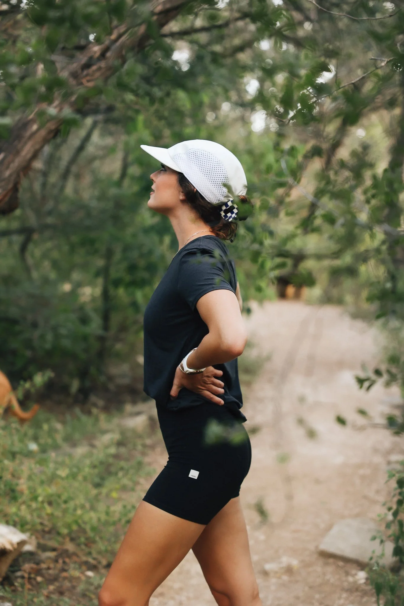 Whole Earth Provision Co.95.jpg