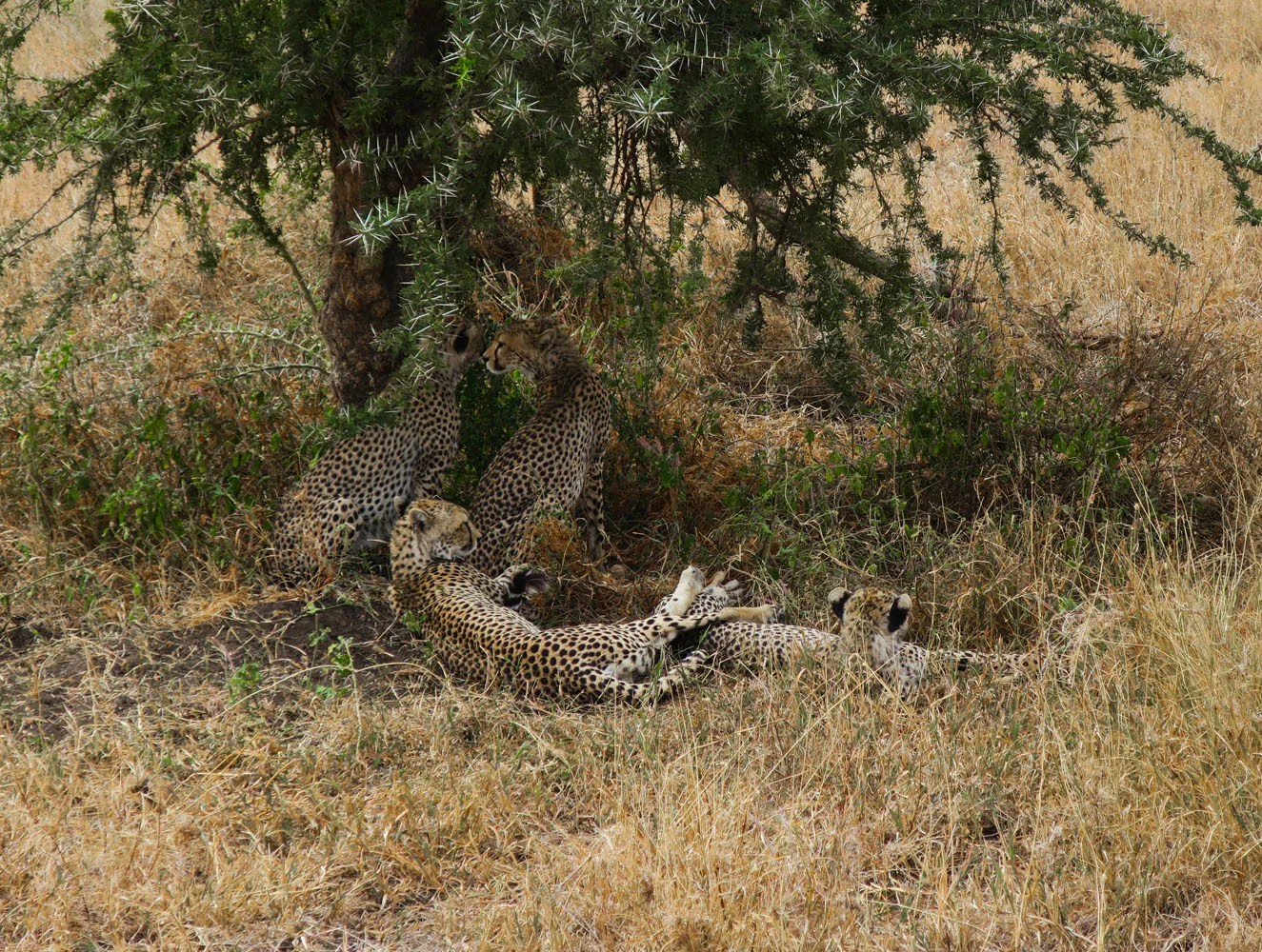 IMG_0890.jpg