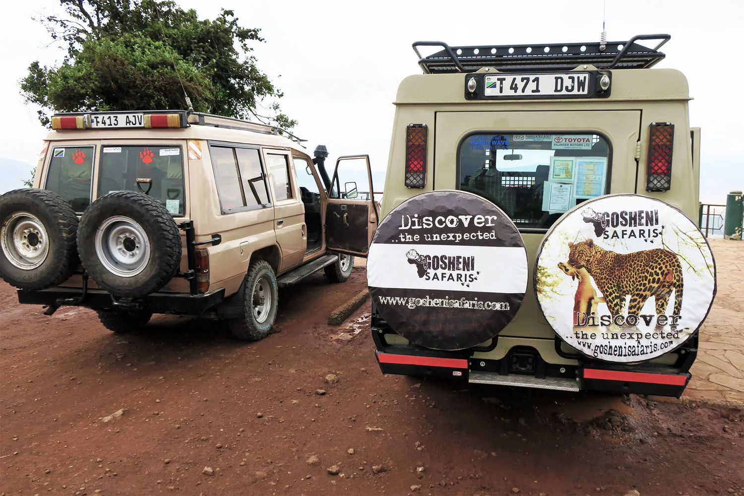safari_vehicles.jpg