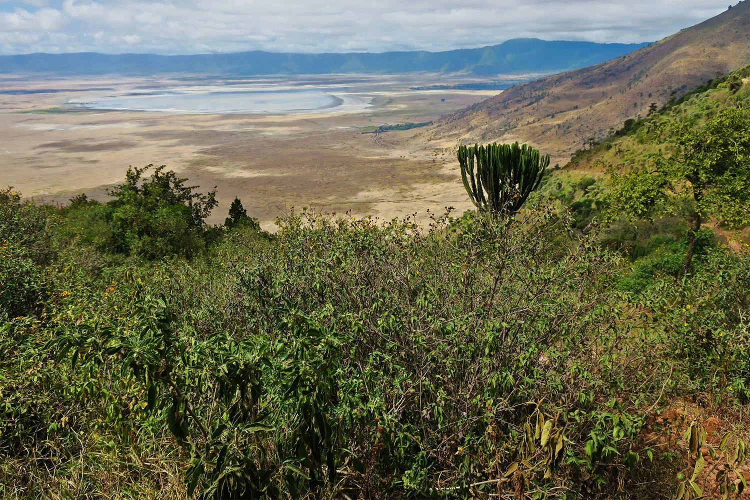 tanzania_safari_ngorongoro_crater4.jpg