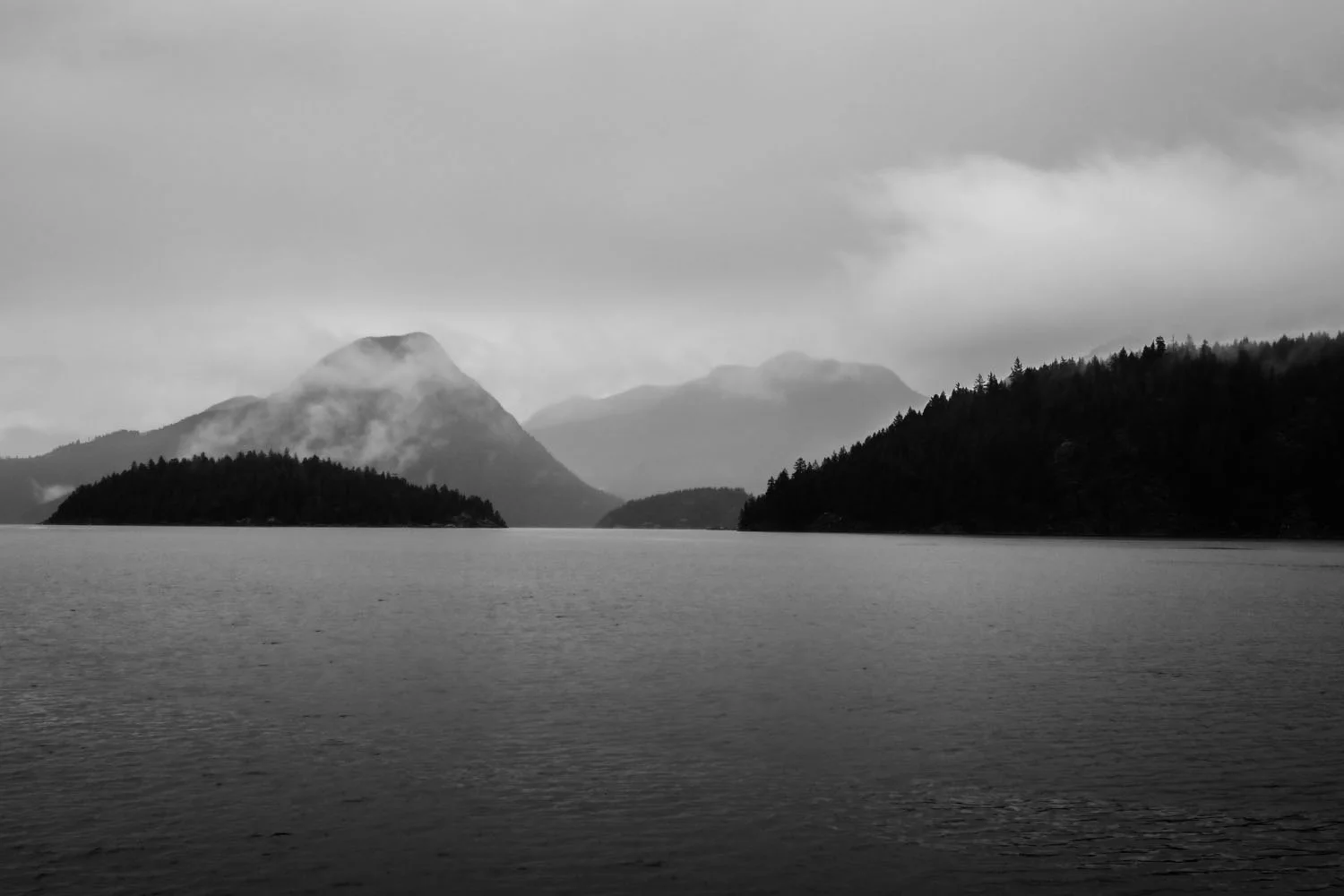 IMG_2277.jpg