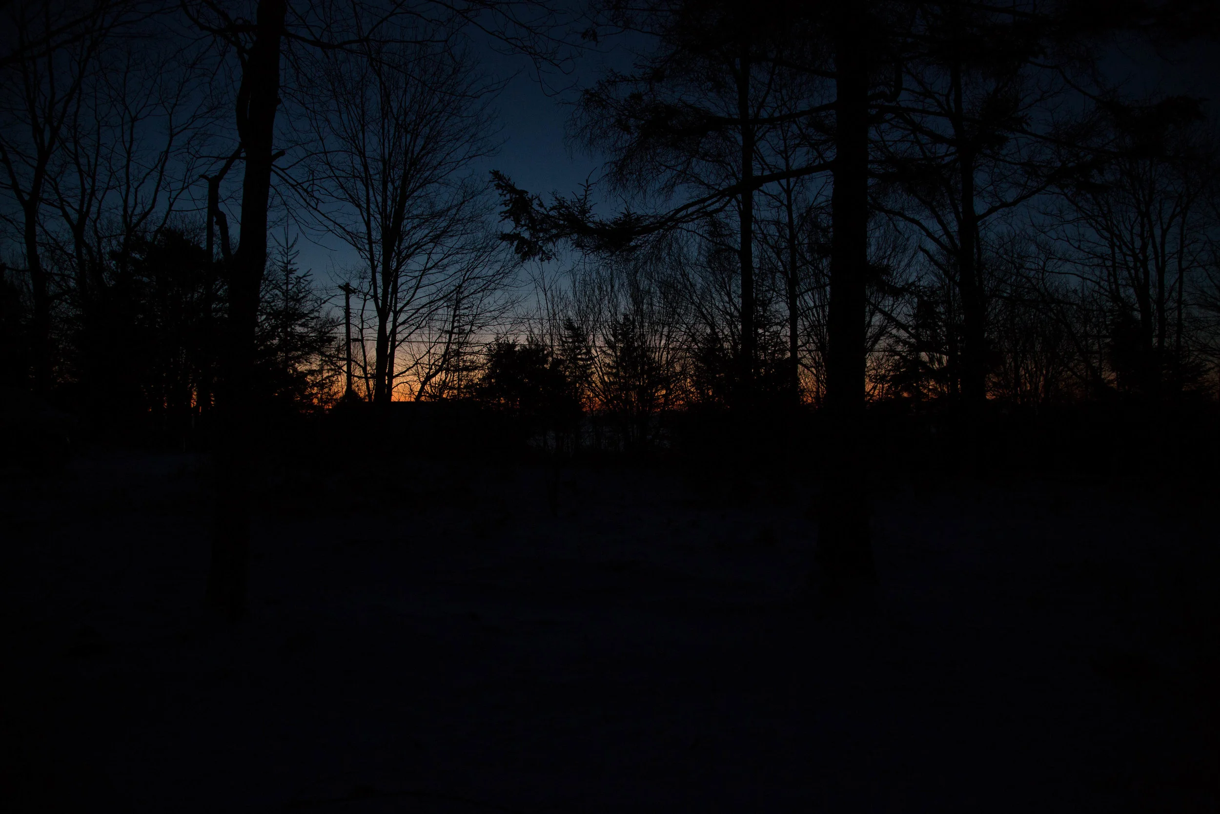 _N8A9847.jpg