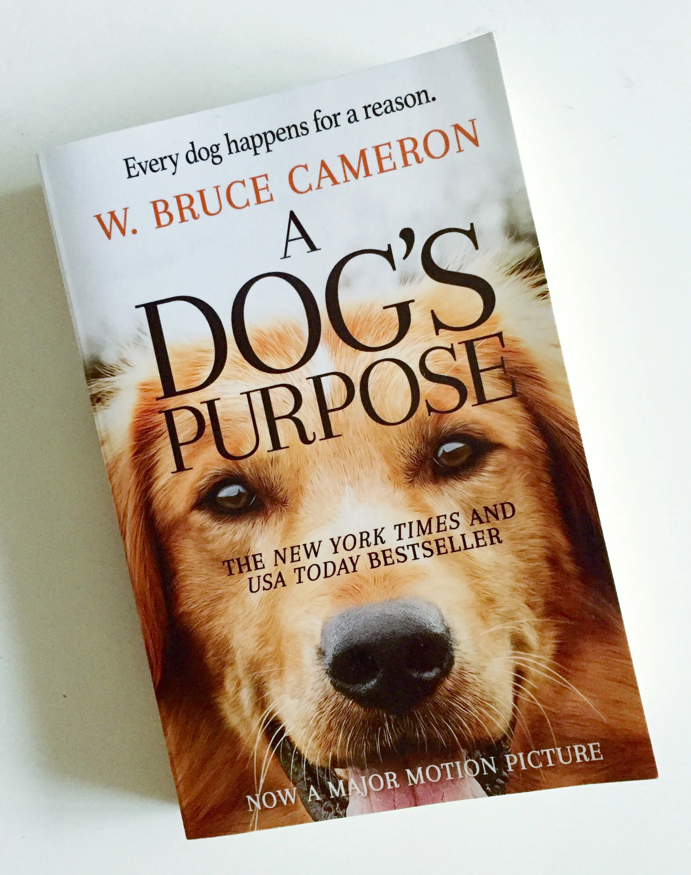 A Dog's Purpose Book.jpg