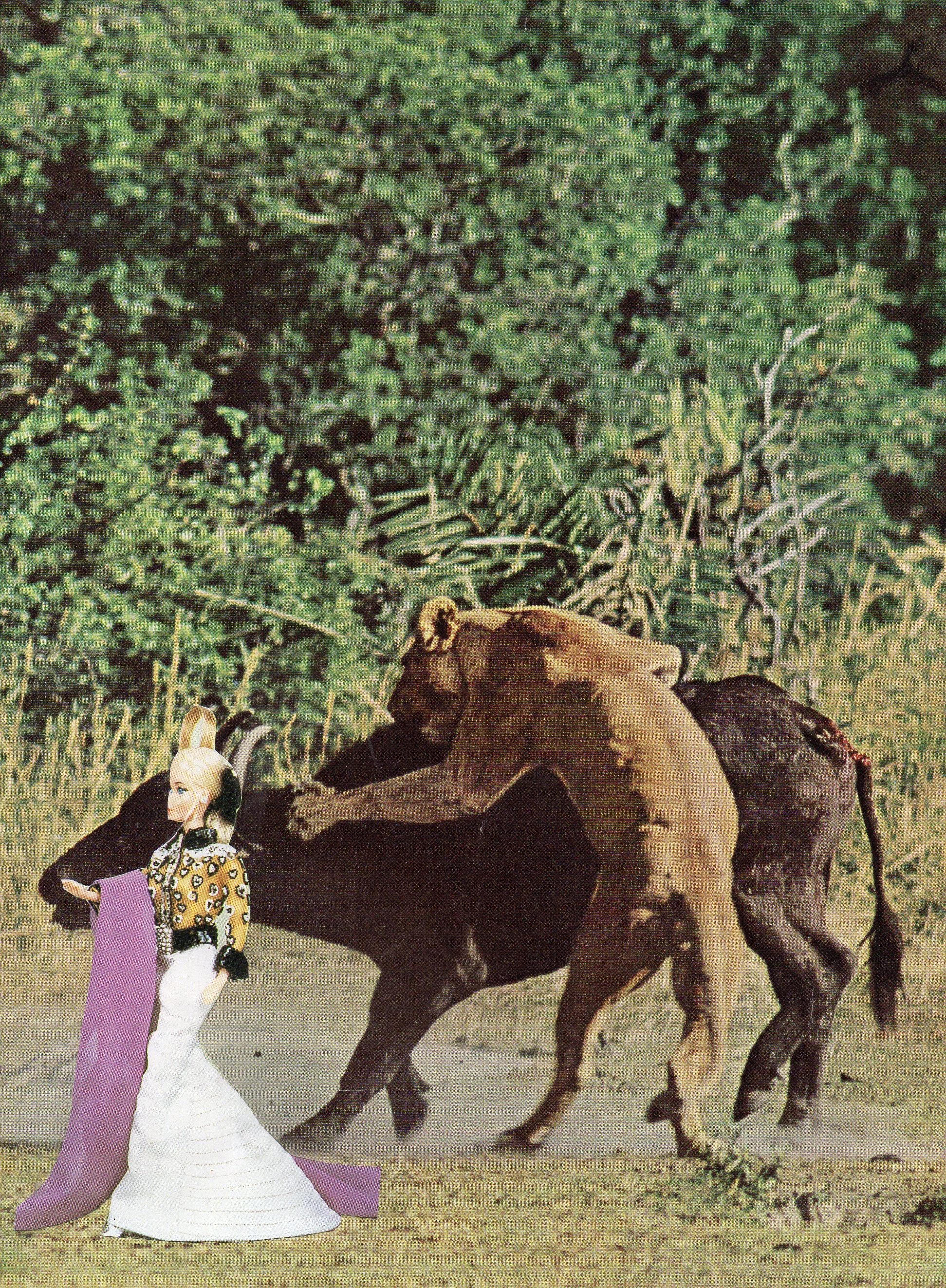 img062.jpg