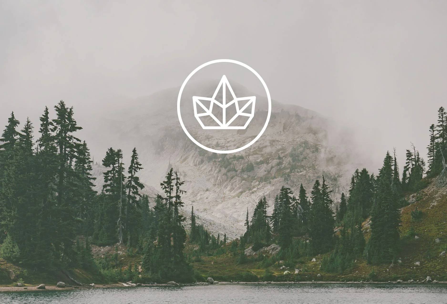 Wealth Blog is forward thinking media collective that aims to bring a fresh perspective on alternative health and related lifestyle. I generate on-going content for the blog, as well as promotional and social media materials for The Wealth Shop.
