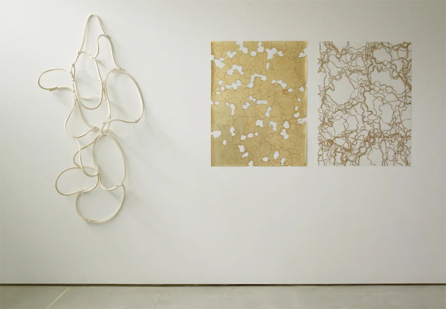 El Dorado, 2008-2014. Installation view.