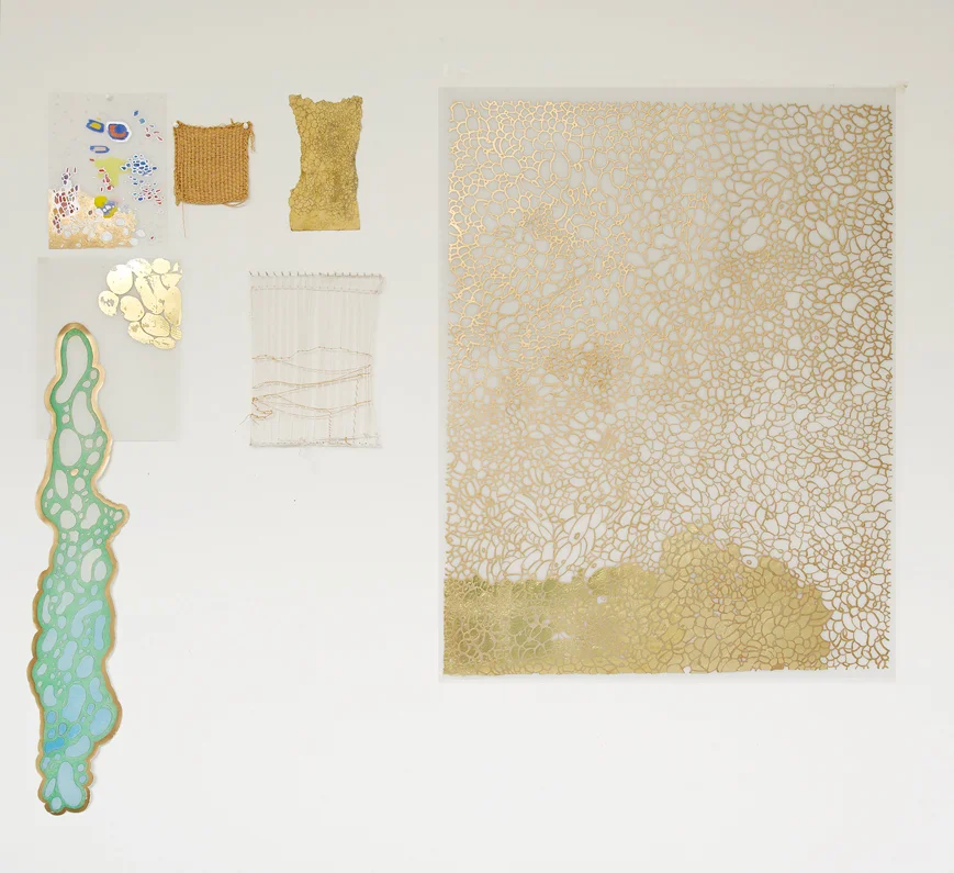 El Dorado, installation view, 2008-14. Wall 2, dimension variable.