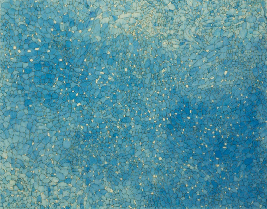 Desert San Luis Potosi #2, 2008. Color pencil on vellum, 11"h X 14"w.