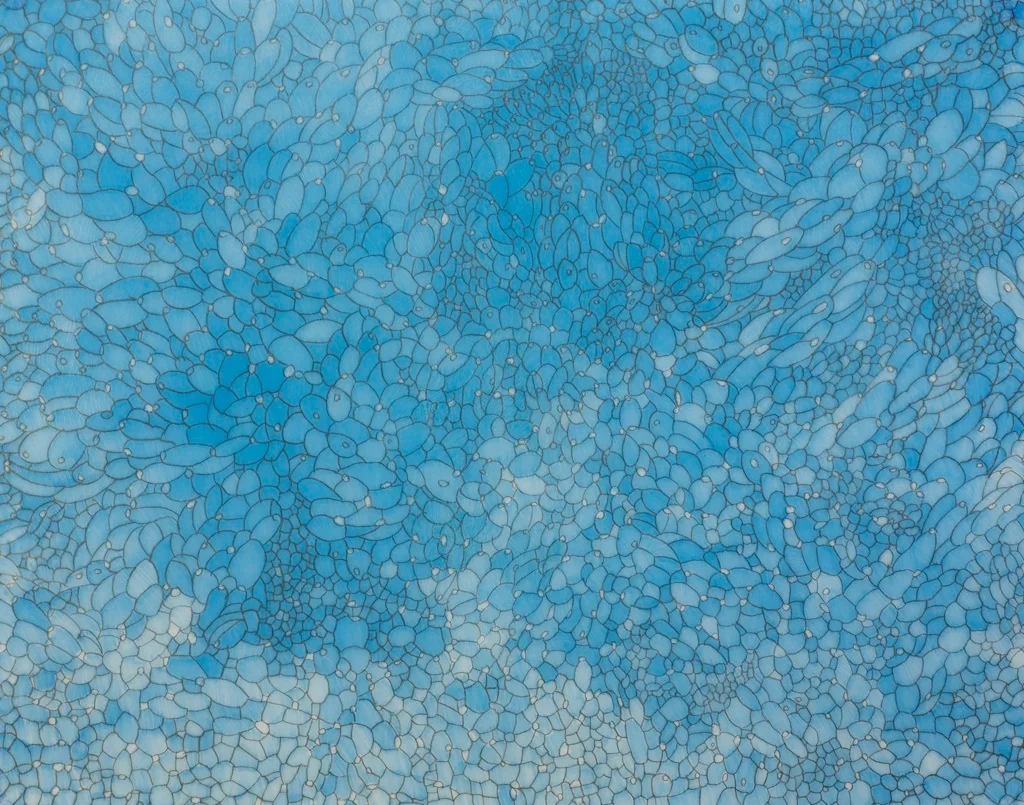 Desert San Luis Potosi #3, 2008. Color pencil on vellum, 11"h X 14"w.