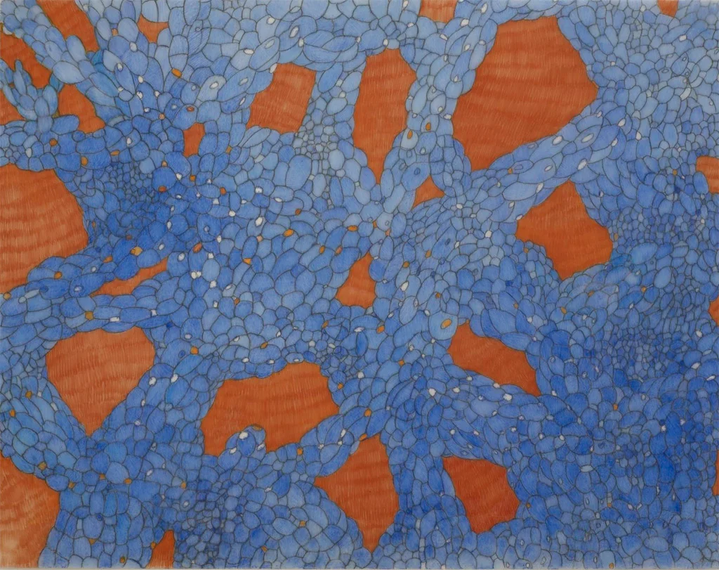 Desert San Luis Potosi #5, 2008. Color pencil on vellum, 11"h X 14"w.