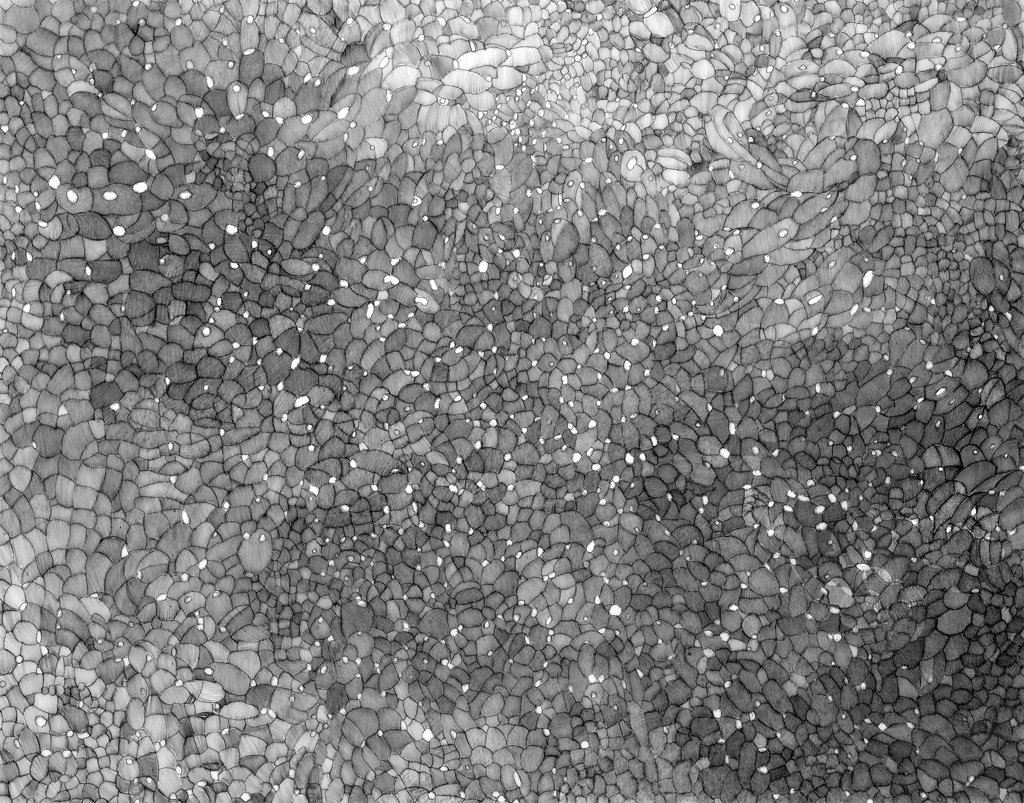 Untitled d1, 2009. Etching, 11"h X 14"w.